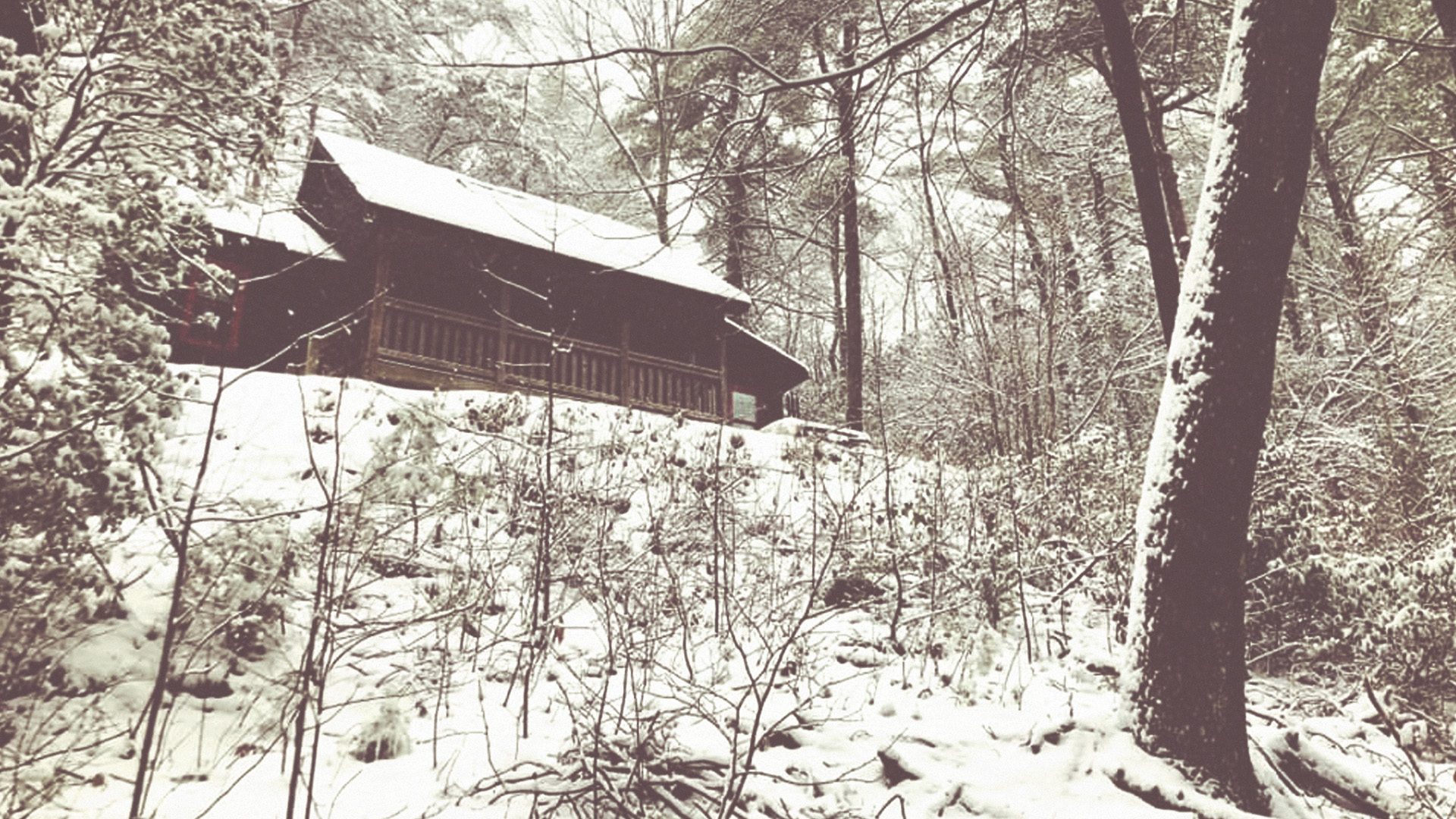The cabin on the hillside after snowfall